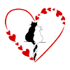 Katzenpaar-Liebe