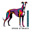Bunter Windhund