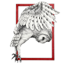 Owl with frame