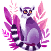 Purple lemur in the Pink Jungle