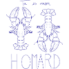 Homard Duo Illustré