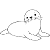 Seal Seals Seals Northern Germany