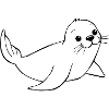 Seal Seals Seals Northern Germany