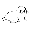 Seal Seals Seals Northern Germany