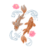 Koi and lotus in blue water