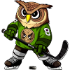 Eule Eishockey