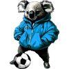 Koalas Fussball