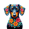 Dackel Dachshund Tekel