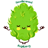 Smoke Weed Everyday