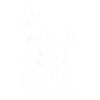 Funny Windsurf Motif