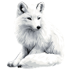 Snow fox