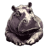 Hippo Charm Drawing
