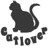Cat sitting