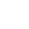 Dandelion Minimal Design – Dandelion Line Art