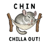 Chinchilla Chin ChillaOut Humor