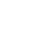Illinois Girl Hustle Resilience