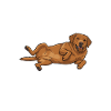 Echte Labrador Liebe Hundebesitzer Statement