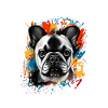 Pyjama Chien Bouledogue Français Humour