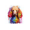 Pyjama Chien Caniche Humour