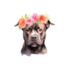 Pyjama Drôle Chien Staff
