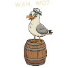 Drunk Seagull
