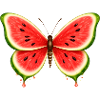 Summer Melon Butterfly
