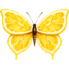 Lemon Wings – Glowing Fruit Butterfly