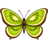 Kiwi butterfly – fruit meets fantasy