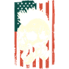 Punk skull on US flag