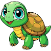 Baby turtle