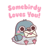 Cute Pigeon Somebirdy Loves You Pun
