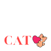 Toujours seul avec mon chat