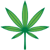 Cannabis / Marijuana / Hemp (Outline / 2C Green)