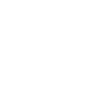 cheval. (lignes blanches) (par Leni Riosa)