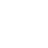 Year 2005 Limited Edition