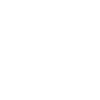 Édition limitée millénaire 2006