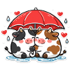 Duo de vaches sous parapluie