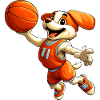 Dog Basketball