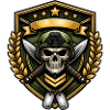 Skull Warrior Shield Badge