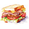 Sandwich Illustration