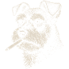 Hundeporträt von Schnauzer mit Zigarette
