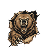 Grunding Grizzly Bear Wild Claw