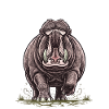 Hippopotamus in Charge Wild Power