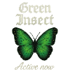 Green Insect Butterfly Fans gift idea
