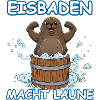 Eisbaden Seehund