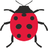 Ladybug design