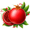 Granatapfel mit Blättern 