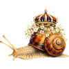 Royal Snail with Flower Crown