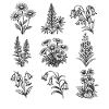 Night Blossom Botanical Pattern