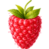 Fresh raspberry with leaves